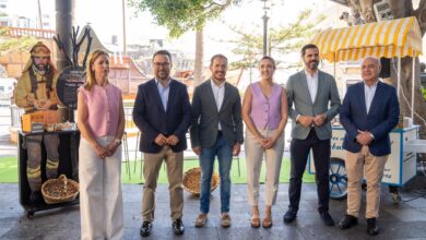 transicion-presenta-una-linea-de-helados-elaborada-con-‘almendra-bonita’-del-proyecto-‘agroforestales-la-palma’