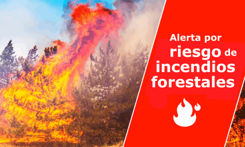 el-gobierno-de-canarias-declara-la-situacion-de-alerta-por-riesgo-de-incendios-forestales-en-gran-canaria