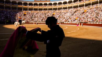 la-comunidad-de-madrid-actualiza-el-reglamento-de-espectaculos-taurinos-populares-para-incentivar-estos-festejos-en-la-region