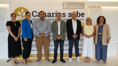 un-total-de-226-quesos-compiten-por-ser-el-mejor-del-archipielago-en-el-concurso-agrocanarias-2025