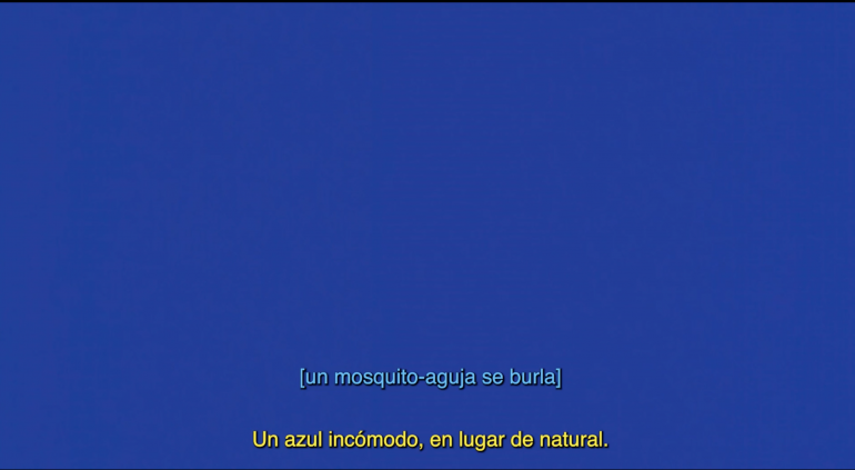 la-proyeccion-de-la-pelicula-blue-description-project-clausura-las-jornadas-en-torno-a-la-discapacidad-del-museo