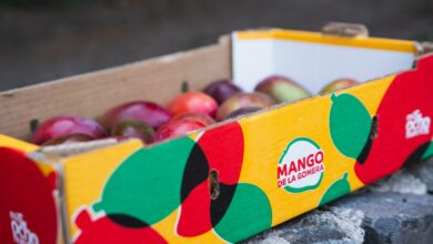 gmr-canarias-impulsa-la-comercializacion-de-mas-de-100.000-kg-de-mangos-de-la-gomera-a-traves-de-una-nueva-imagen