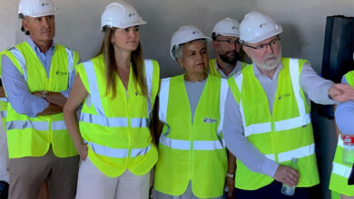 la-vicepresidenta-sara-aagesen-anuncia-una-inversion-de-32-millones-de-euros-para-restaurar-bosques-en-decaimiento