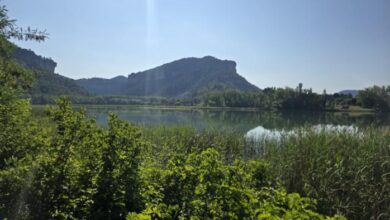 el-gobierno-regional-organiza-mas-de-30-actividades-gratuitas-para-descubrir-este-verano-los-espacios-naturales-con-el-programa-‘vive-tu-espacio”
