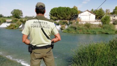 la-comunidad-de-madrid-advierte-del-peligro-de-banarse-en-zonas-no-autorizadas