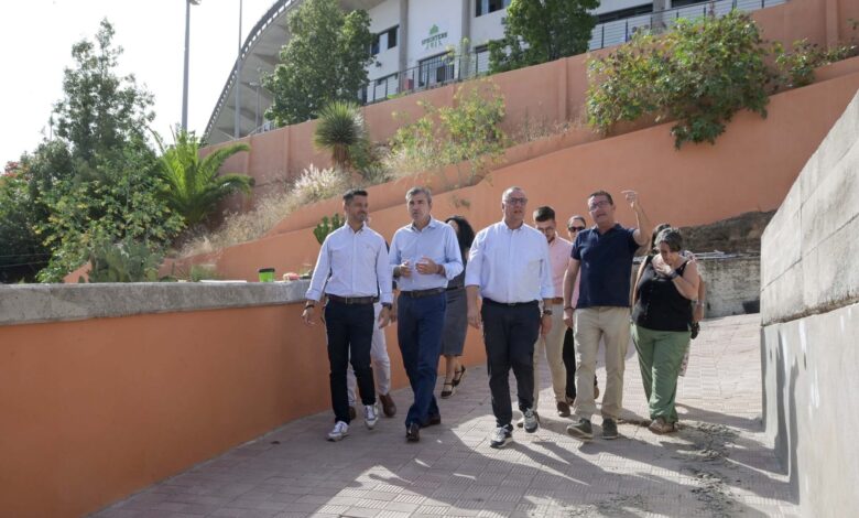 adjudicada-la-segunda-fase-de-las-obras-del-ceip-el-toscal-longuera,-en-los-realejos