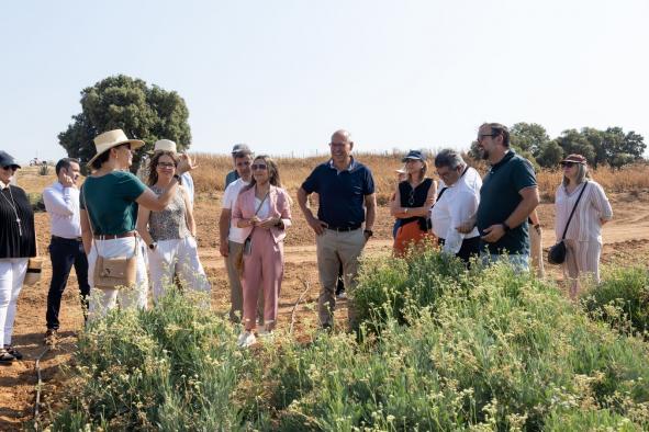 el-gobierno-regional-pone-en-valor-el-guayule,-un-cultivo-emergente-con-un-gran-potencial-por-su-resistencia-al-cambio-climatico-y-su-adaptacion-al-suelo