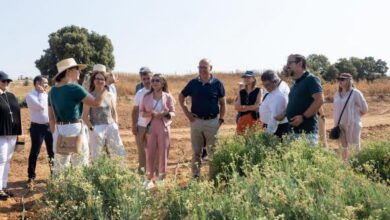 el-gobierno-regional-pone-en-valor-el-guayule,-un-cultivo-emergente-con-un-gran-potencial-por-su-resistencia-al-cambio-climatico-y-su-adaptacion-al-suelo