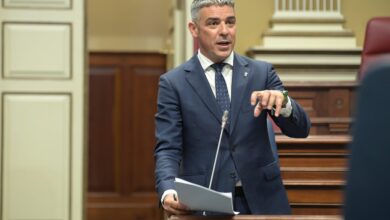 quintero-destaca-el-adelanto-del-abono-de-las-ayudas-del-posei-a-la-papa-como-mejora-de-la-gestion-de-subvenciones