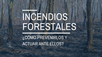 incendios-forestales:-¿como-prevenirlos-y-actuar-ante-ellos?
