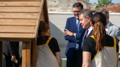 alrededor-de-un-96-por-ciento-de-las-solicitudes-de-admision-en-centros-educativos-de-castilla-la-mancha-consiguen-plaza-en-la-primera-opcion