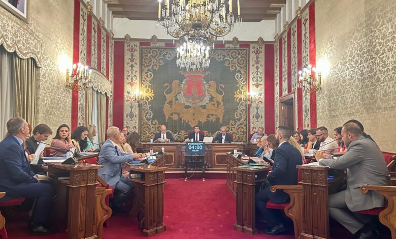 el-pleno-respalda-la-candidatura-de-alicante-como-capital-de-la-innovacion-y-el-trasvase