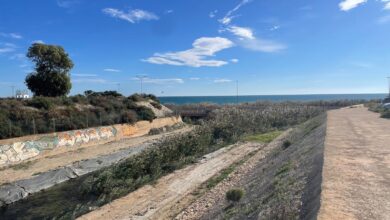 alicante-despeja-los-ojos-de-los-puentes-de-la-n332-y-cercanias-en-aguamarga