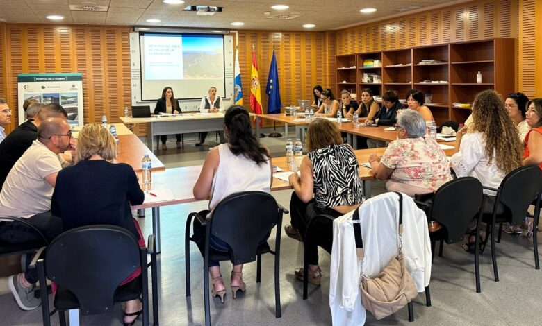 el-area-de-salud-de-la-gomera-celebra-la-reunion-del-consejo-de-salud
