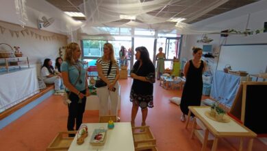 alicante-hace-balance-en-el-consejo-escolar-de-las-mejoras-en-colegios-por-600.000e