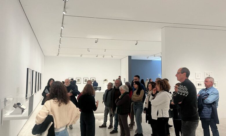 el-maca-clausura-el-sabado-6-la-exposicion-de-kara-walker-con-una-programacion-especial