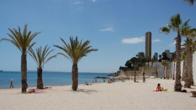 el-ayuntamiento-reabre-al-bano-la-albufereta-tras-constatar-la-calidad-del-agua