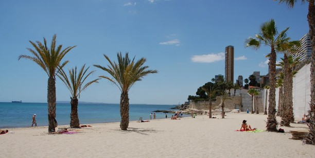 el-ayuntamiento-reabre-al-bano-la-albufereta-tras-constatar-la-calidad-del-agua