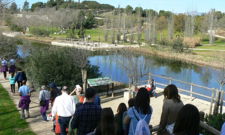 alicante-promueve-sus-paseos-y-arboles-singulares-de-la-ereta-y-la-marjal-en-los-senderos