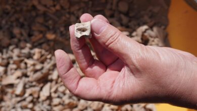 nueva-campana-de-excavaciones-arqueologicas-en-san-marcial-del-rubicon