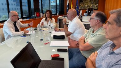 nieves-lady-barreto-avanza-con-gestur-en-el-proyecto-de-120-viviendas-en-los-llanos-de-aridane