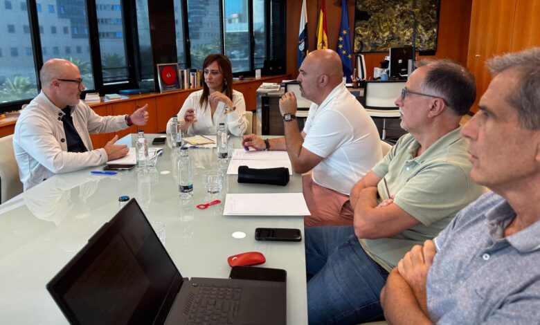 nieves-lady-barreto-avanza-con-gestur-en-el-proyecto-de-120-viviendas-en-los-llanos-de-aridane