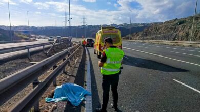 la-policia-canaria-investiga-el-origen-del-emu-atropellado-en-gran-canaria