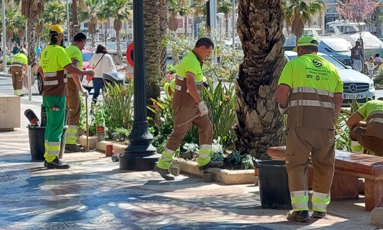 alicante-licita-el-nuevo-contrato-de-parques-y-jardines-por-45-millones-para-cuatro-anos