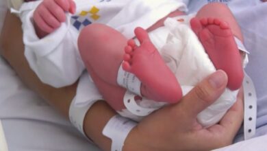 los-hospitales-del-scs-atendieron-un-total-de-9.523-nacimientos-en-2024