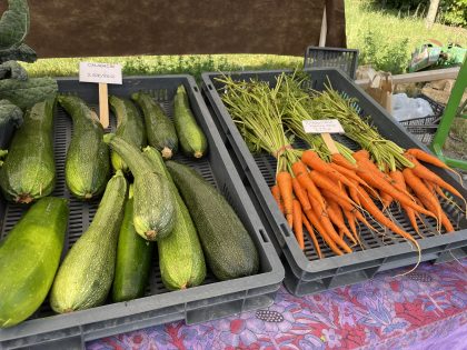 elikaduraren-xviii.-gizarte-topaketa-egingo-da-gasteizen-urriaren-21etik-31ra