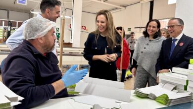 empleo-convoca-los-pfae-para-mejorar-la-empleabilidad-e-insercion-laboral-de-desempleados