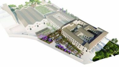 alicante-renaturaliza-casa-misericordia-y-abre-su-entorno-con-la-plantacion-de-arbolado