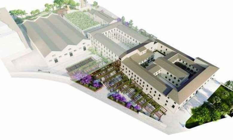 alicante-renaturaliza-casa-misericordia-y-abre-su-entorno-con-la-plantacion-de-arbolado