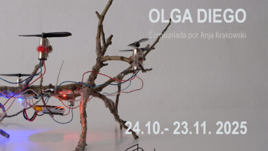 olga-diego-convierte-el-espacio-seneca-en-un-“hangar”-con-su-exposicion-escuela-de-vuelo