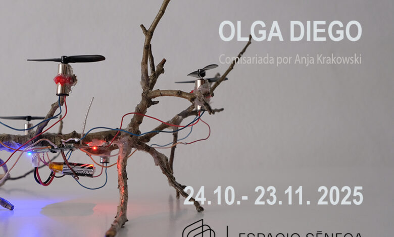 olga-diego-convierte-el-espacio-seneca-en-un-“hangar”-con-su-exposicion-escuela-de-vuelo