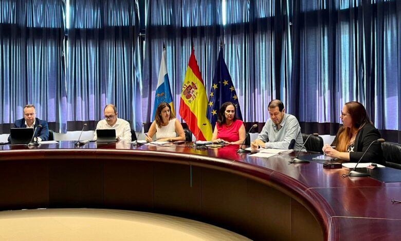 canarias-aprueba-un-nuevo-plan-de-apoyo-al-emprendimiento,-al-trabajo-autonomo-y-a-las-pymes