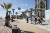 asi-es-el-nuevo-paseo-maritimo-de-la-avenida-de-niza:-130-palmeras-mas-y-acceso-a-la-playa