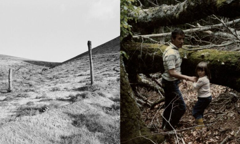 fotonoviembre-presenta-en-la-laguna-‘mato-grosso’,-de-raquel-bravo,-y-‘endemico’,-de-daniel-l.-fleitas