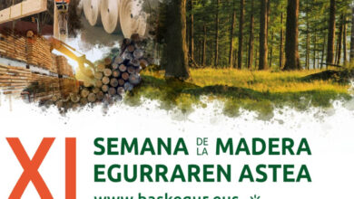 osalan-participa-en-la-jornada-forestal-madera-de-la-xi-semana-de-la-madera-de-euskadi