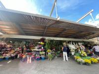 alicante-abre-en-todos-los-santos-los-puestos-de-flores-del-mercado-y-adelanta-mercadillos