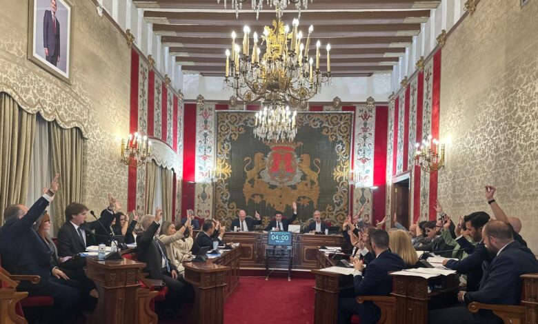 respaldo-unanime-del-pleno-de-alicante-al-impulso-del-ceip-la-canada-por-seis-millones