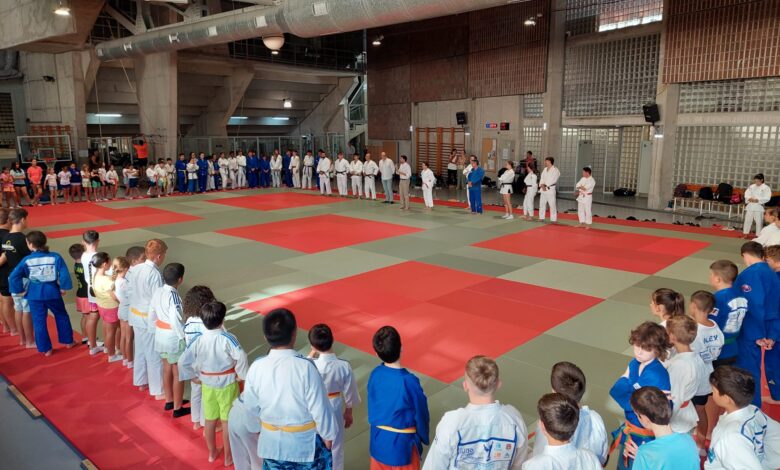 alicante-oferta-mas-de-9.200-plazas-de-actividades-deportivas-para-ninos-y-jovenes