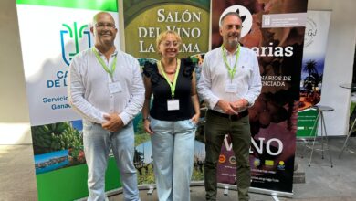 el-salon-profesional-de-vinos-de-la-palma-reune-a-15-bodegas-y-a-especialistas-internacionales