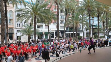 alicante-preadjudica-a-sararte-la-gestion-de-las-actividades-para-mayores-por-378.889-e