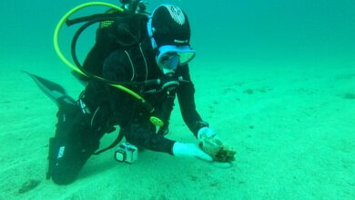 el-yacimiento-de-san-marcial-de-rubicon-se-expande-hacia-el-mar